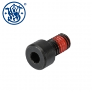Smith & Wesson SW22 Victory Takedown Screw