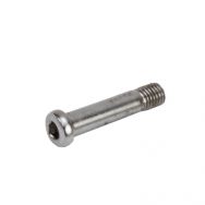 Browning X-Bolt Barrel Mounting Screw, Short/SSA Action, White Gold Medallion