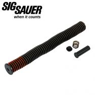 Sig Sauer P320 Parts Kit, 9mm Full Size