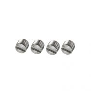 Ruger 10/22 Scope Base Filler Screws, Stainless