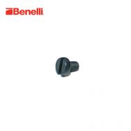 Benelli M3 Rear Sight Screw