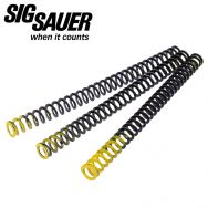 Sig Sauer 1911 Compact / Carry Recoil Spring Set